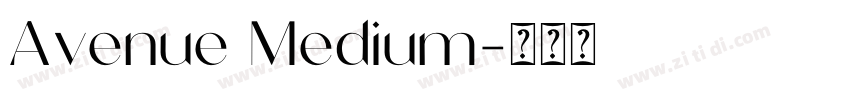 Avenue Medium字体转换